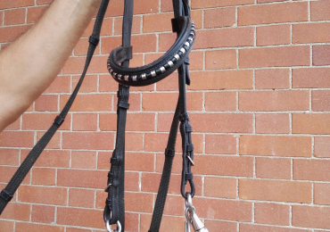 Testiera inglese pony/cavalli taglia S