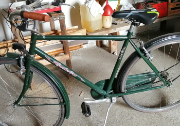 Bicicletta uomo GARDA