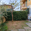 Cervo ( im) dal 16 al 30 settembre o ottobre