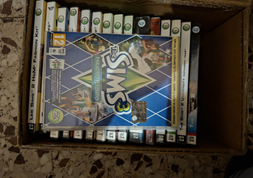 Videogiochi per pc the sims