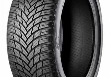 PNEUIMATICI INVERNALI FIRESTONE 225-5-R19