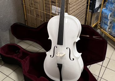 Vendo violoncello