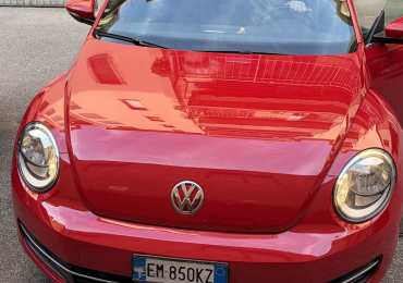 New Beetle rosso