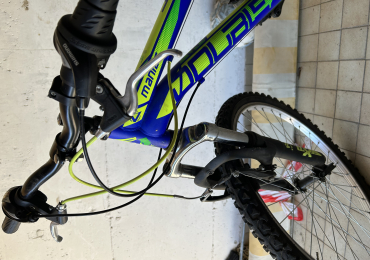 Bicicletta