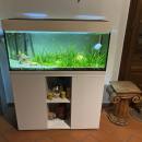 Acquario / Vasca Pesci
