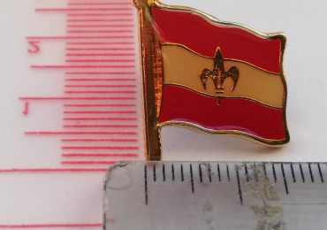 Spilla pins bandiera Trieste Asburgica Lega Nord Lega Lombarda Padania