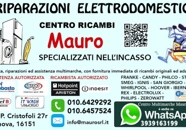 Attività RIPARAZIONE/VENDITA ELETTRODOMESTICI