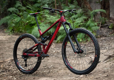 Bicicletta Polygon SISKIU N8