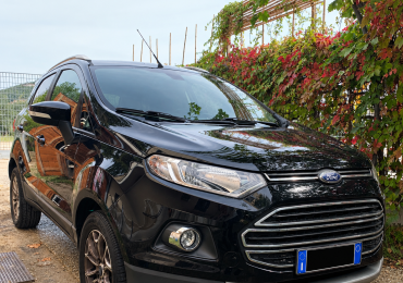 Vendesi Ford EcoSport in ottime condizioni