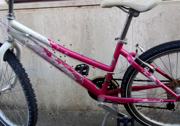 Bicicletta Daisy Atala da fanciulla in perfetto stato misura ruote 24″