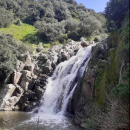Terreno Agricolo Adiacenza Cascata
