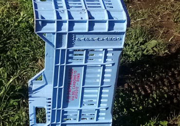 cassette in plastica per orto frutta