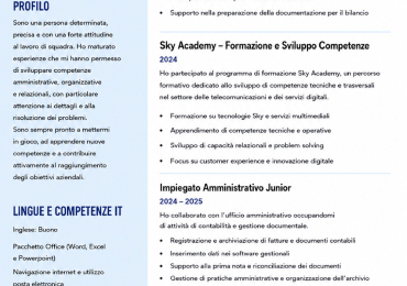 Neodiplomato in Sistemi Informativi Aziendali – Ricerca prima esperienza lavorativa