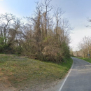 vendesi terreno boschivo