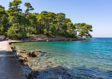 Terreno Lukoran isola di Ugljan, Croazia