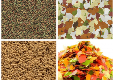 Mangimi di altissima qualità