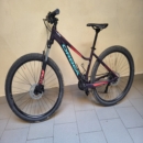 Mountain Bike Muscolare