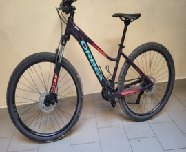 Mountain Bike Muscolare