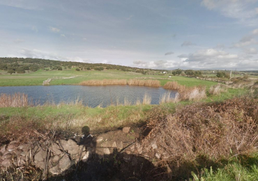 Terreno  Agricolo in Vendita Sardegna